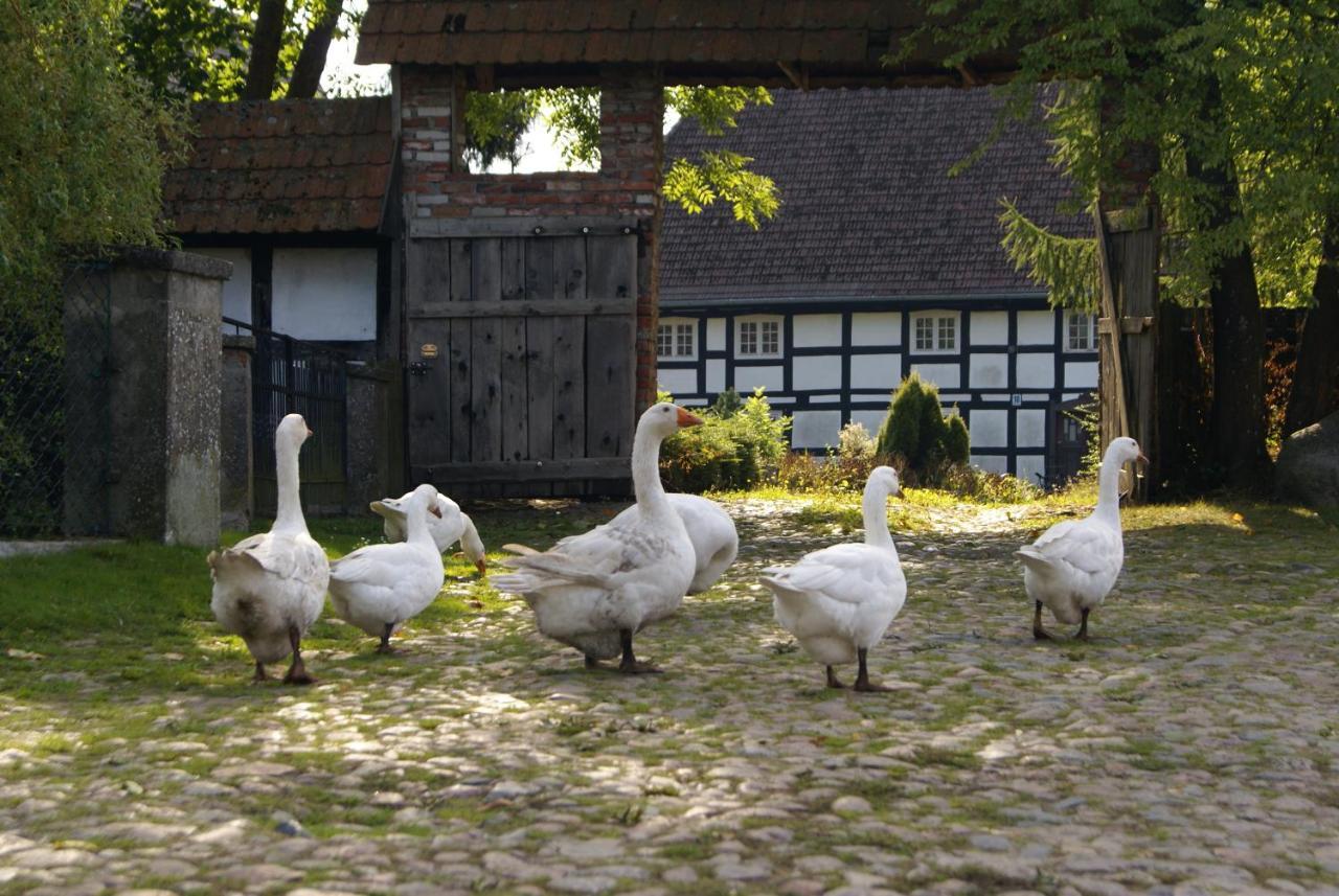 Hotel Przystań Twórców Słupsk Exterior foto